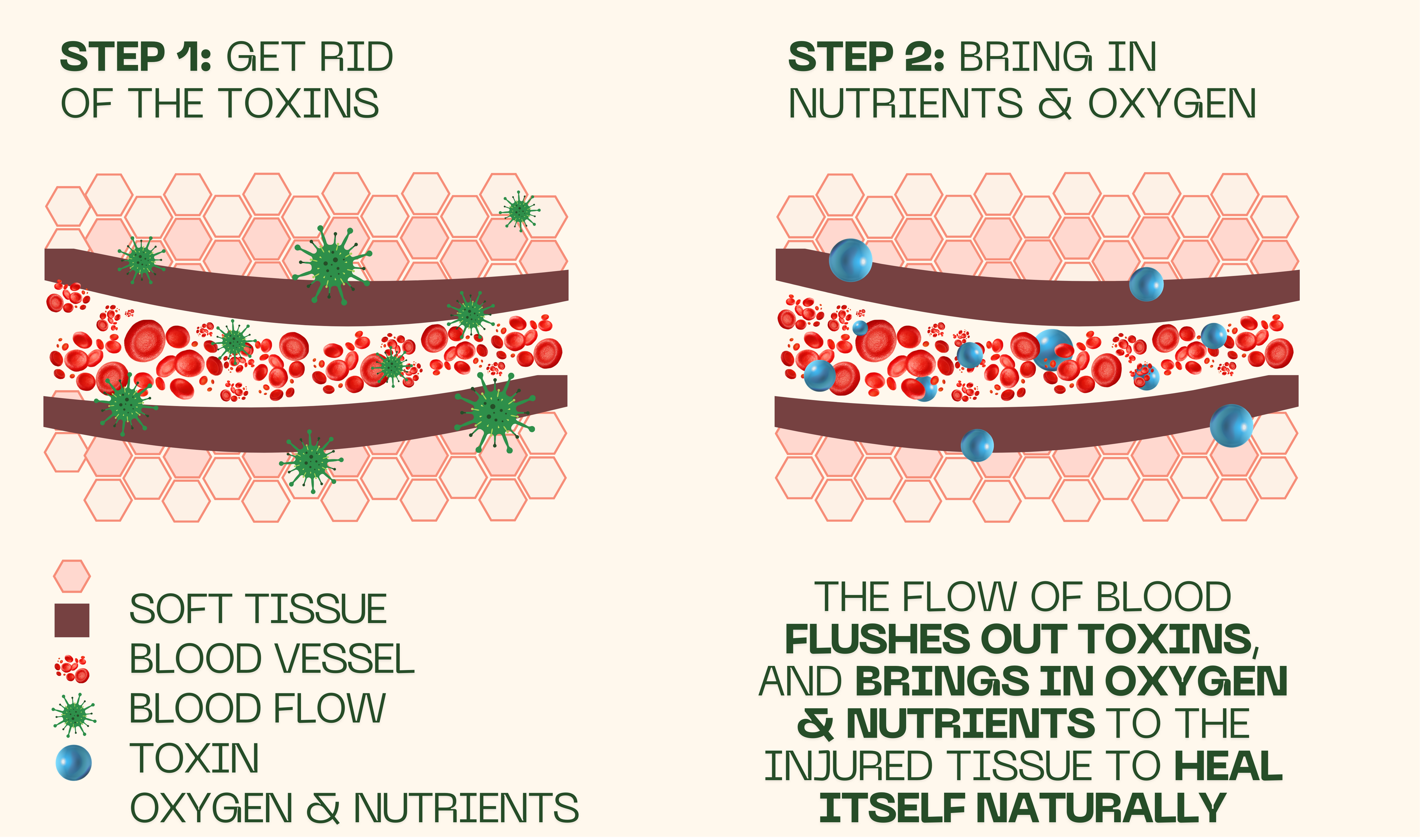 Illustration of a skin layer with toxins being removed and nutrients/oxygen brought in, labeled as steps for healing.